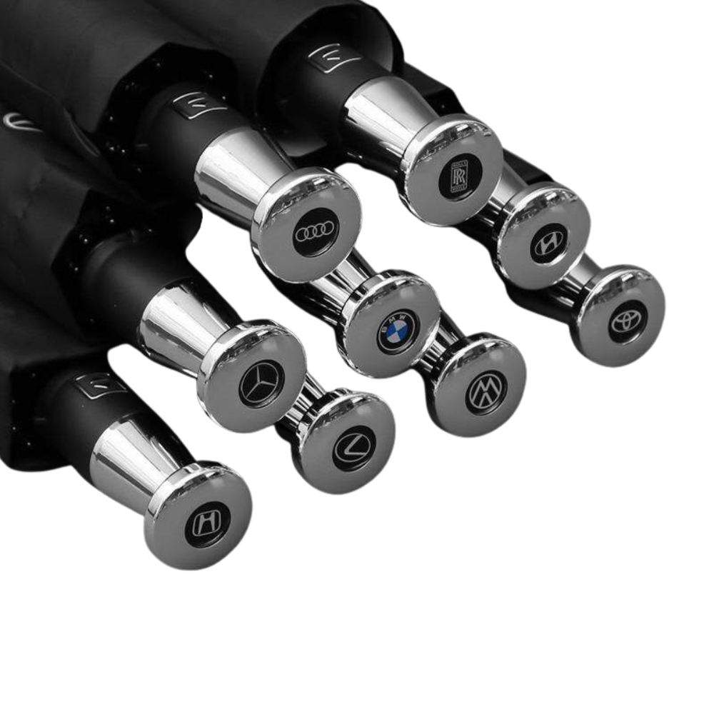 Automatic Personalized Car Umbrella