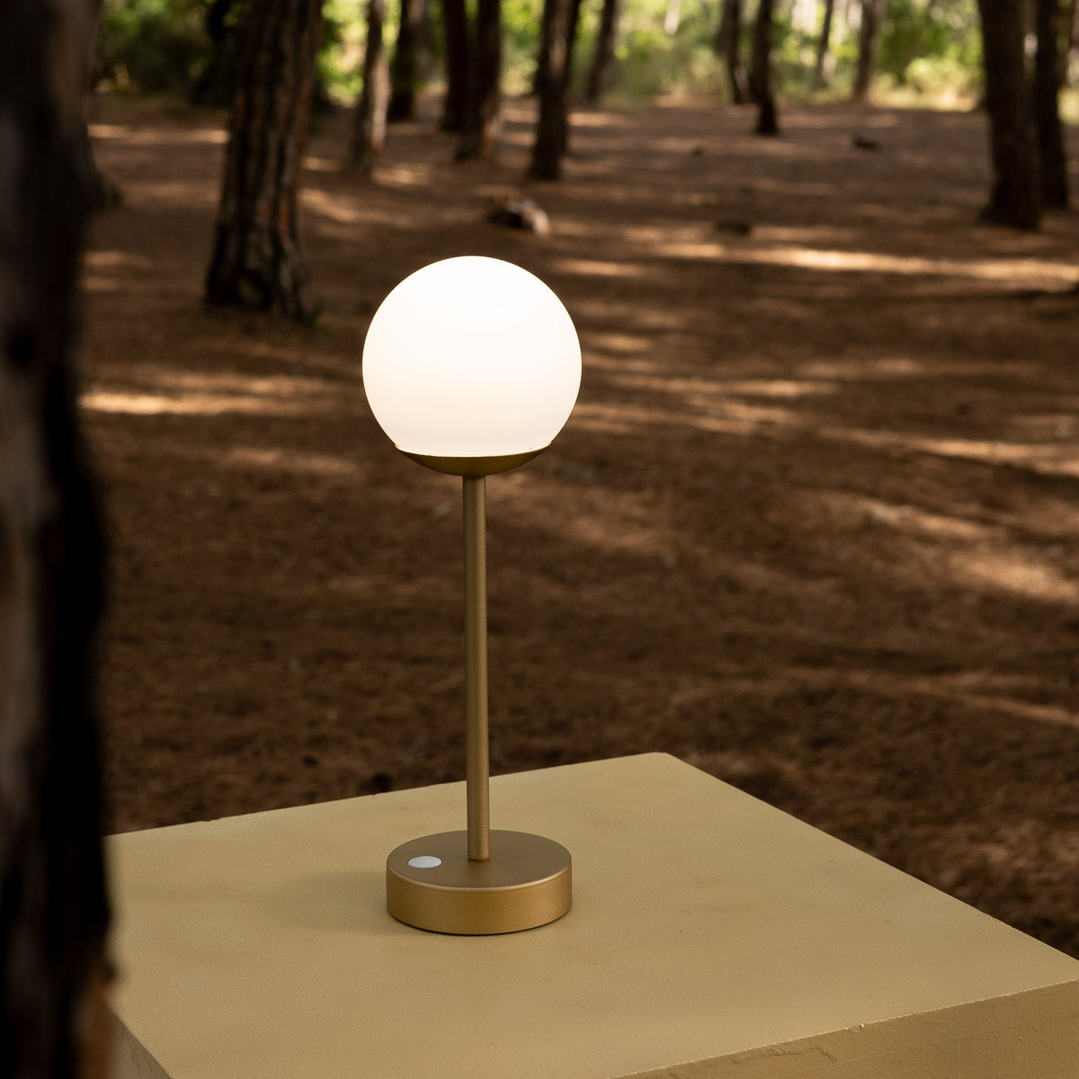 LED Lamp with Globe