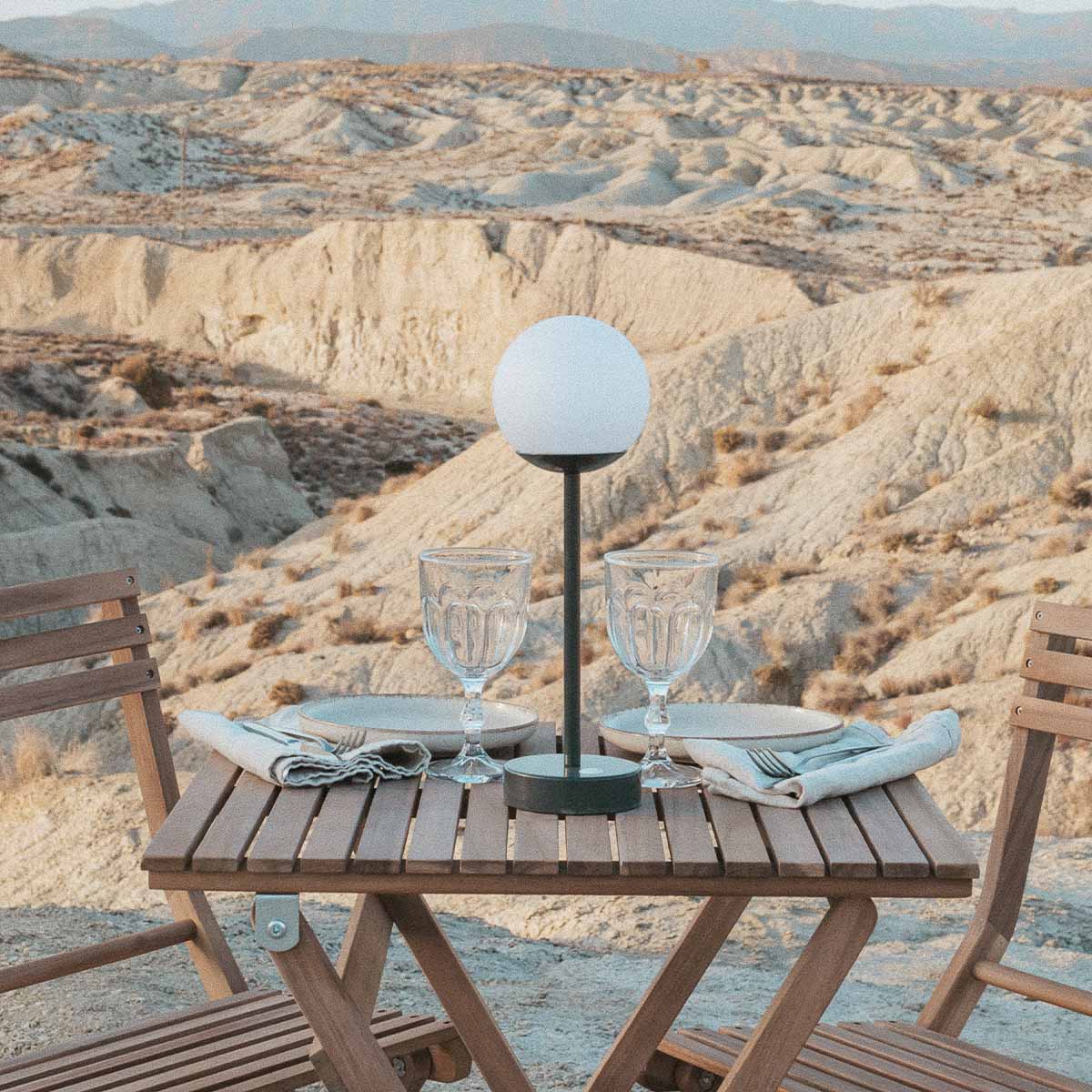 LED Lamp with Globe